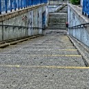 18 Fotozirkel Mannheim e.V. Felix Novotny